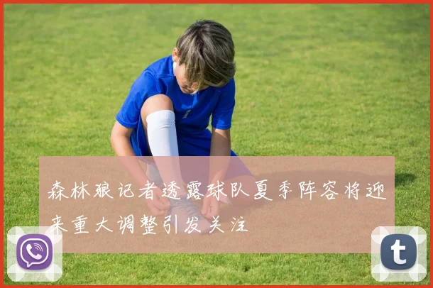 森林狼记者透露球队夏季阵容将迎来重大调整引发关注